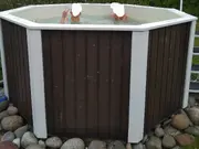 Annonsbild