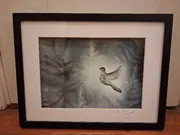 Annonsbild