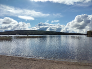Annonsbild