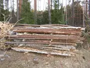 Annonsbild