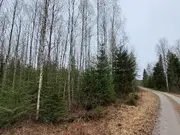 Annonsbild
