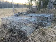 Annonsbild