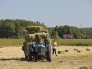 Annonsbild