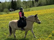 Annonsbild