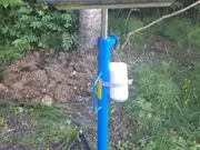 Annonsbild