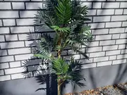 Annonsbild