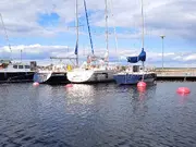 Annonsbild
