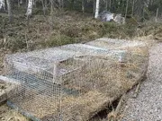 Annonsbild