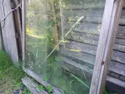 Annonsbild