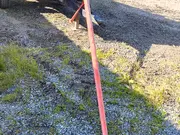 Annonsbild