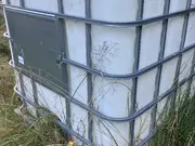 Annonsbild