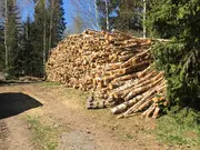 Annonsbild