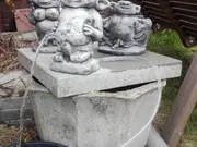 Annonsbild