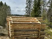 Annonsbild