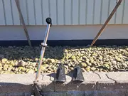 Annonsbild