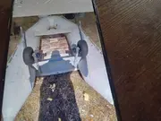Annonsbild