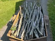 Annonsbild