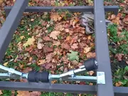 Annonsbild