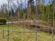 Annonsbild