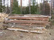 Annonsbild