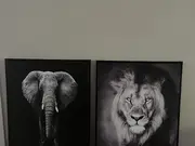 Annonsbild
