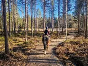 Annonsbild