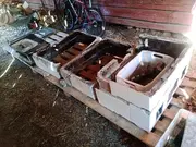 Annonsbild
