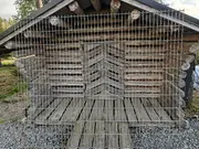 Annonsbild