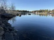 Annonsbild