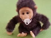 Annonsbild
