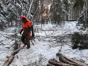 Annonsbild