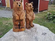 Annonsbild