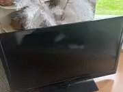 Annonsbild