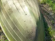 Annonsbild