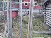 Annonsbild