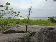Annonsbild