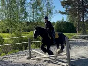 Annonsbild
