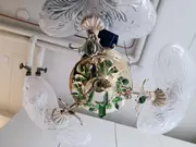 Annonsbild