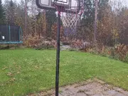 Annonsbild