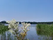 Annonsbild