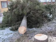 Annonsbild