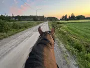 Annonsbild