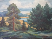 Annonsbild