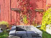 Annonsbild