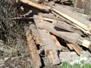 Annonsbild