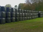 Annonsbild