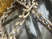 Annonsbild
