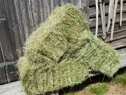 Annonsbild