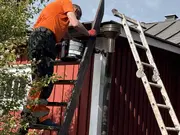 Annonsbild