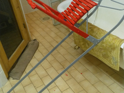 Annonsbild